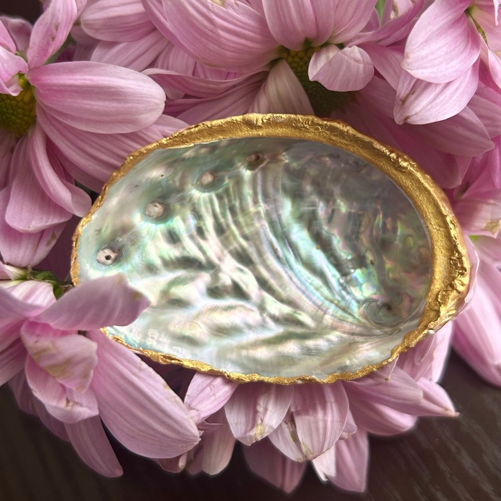 Shell Jewelry Dish